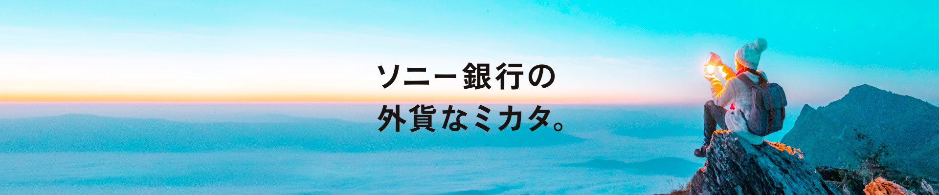 ソニー銀行の外貨なミカタ。