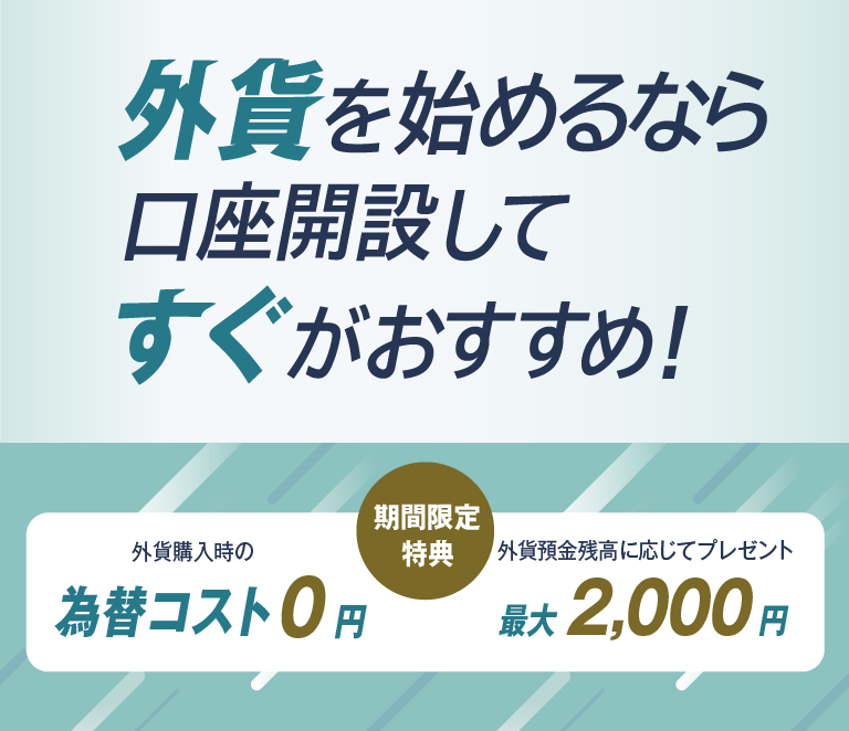 外貨デビューは口座開設をしたらすぐがおすすめ Moneykit ソニー銀行